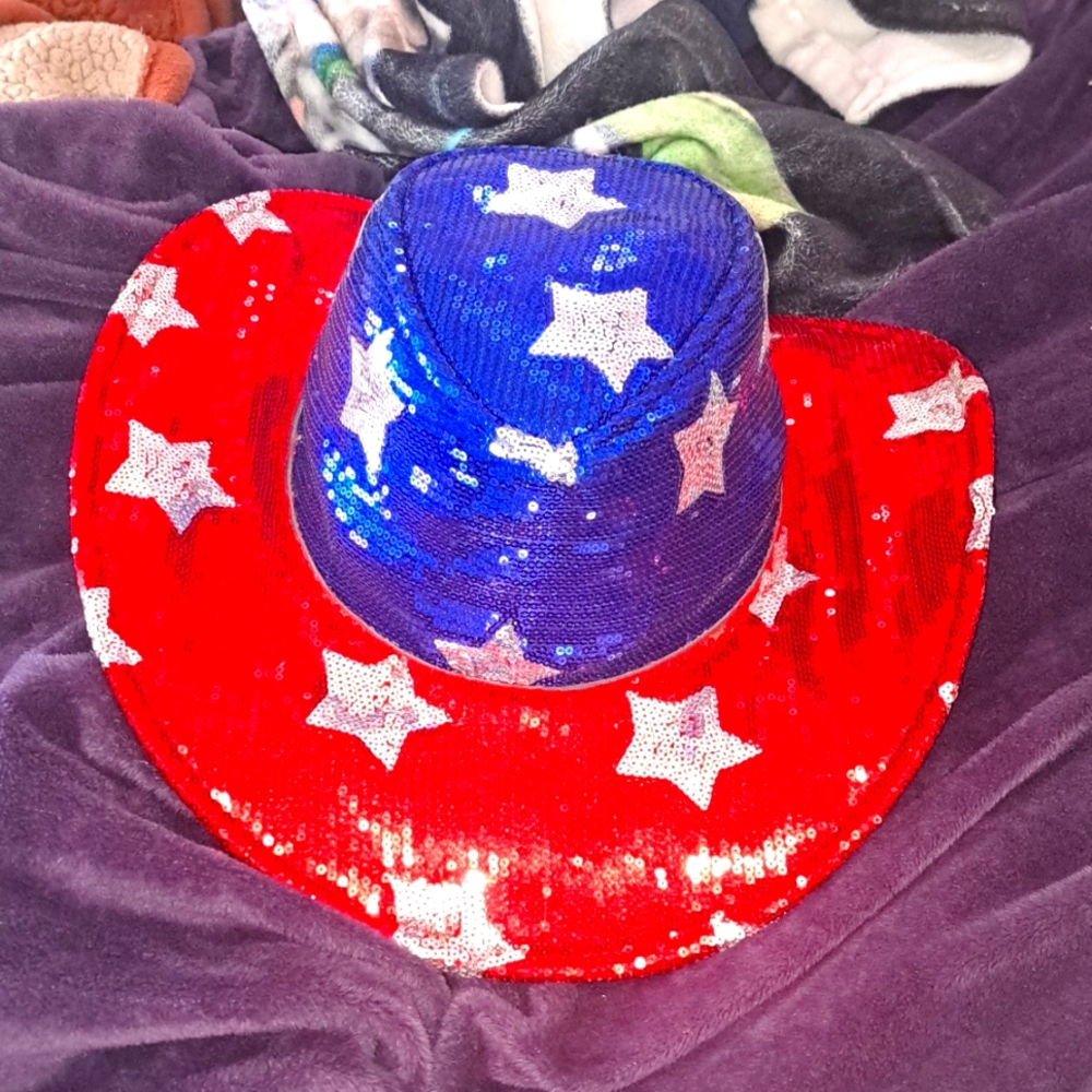 Fourth of july cowboy hat